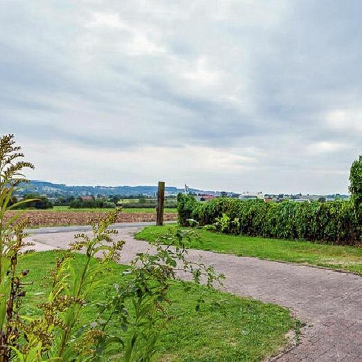 Chalet Den Keibilk Heuvelland Dış mekan fotoğraf